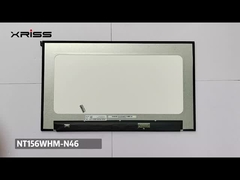 এনটিআই-এনটিআই