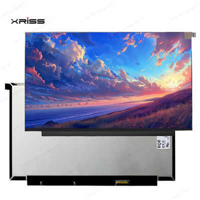 গুণ  13.3 Inch Touch Screen For Lenovo ThinkBook 13x ITG Notebook PC Digitizer Assembly Replacement কারখানা